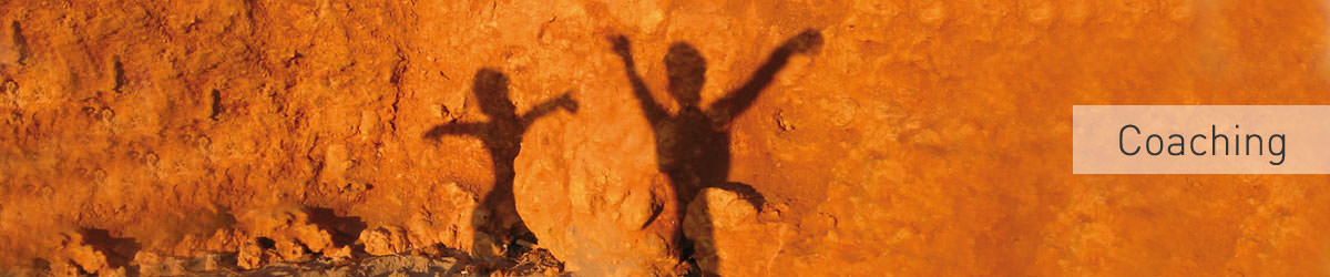 coaching_dr_brinkmann