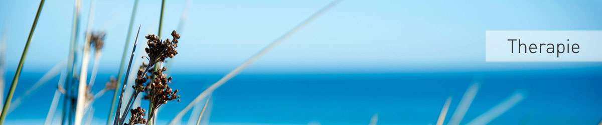 therapie_dr_ilona_brinkmann